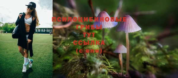 прущие крисы Михайловка