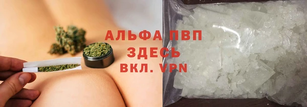 ECSTASY Горняк