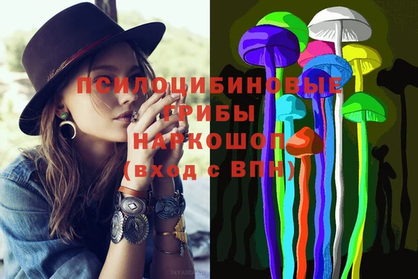 ПСИЛОЦИБИНОВЫЕ ГРИБЫ Михайловск