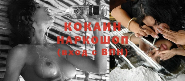 тгк Горно-Алтайск